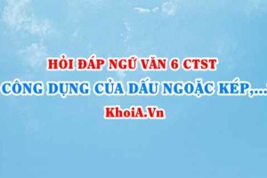 Công dụng của dấu ngoặc kép là gì? Ví dụ? Ngữ văn lớp 6 CTST